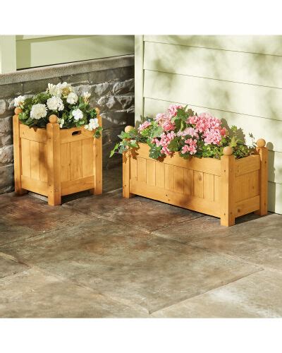 Aldi special buys garden planters